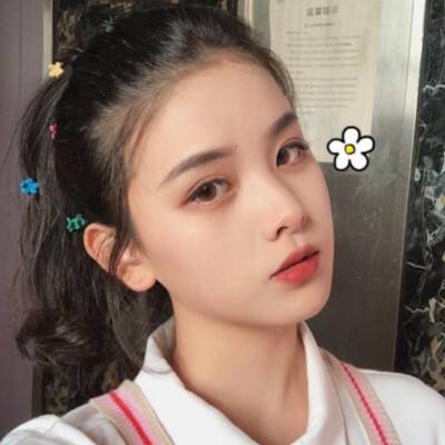 生存小队破解版下载